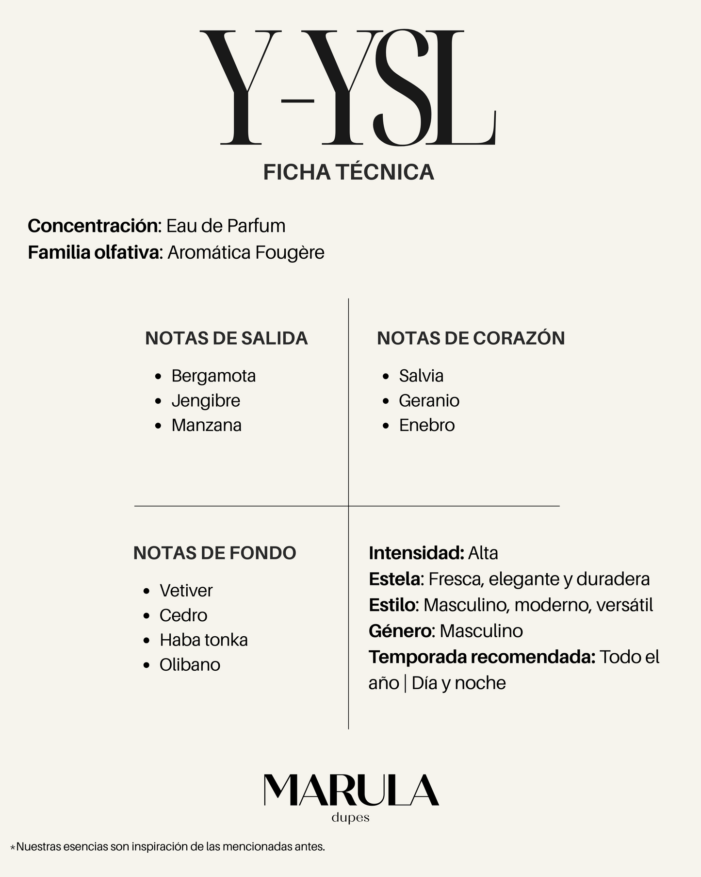 Interpretación Y