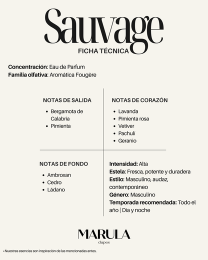 Interpretación SAUVAGE