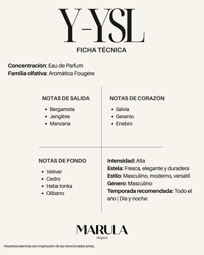 Interpretación  Y